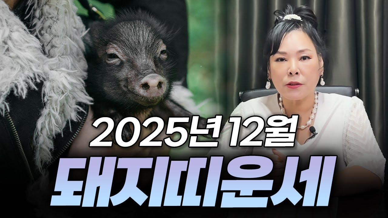 2025년 을사년 양력 12월 돼지띠 운세 | 95년생 83년생 71년생 59년생