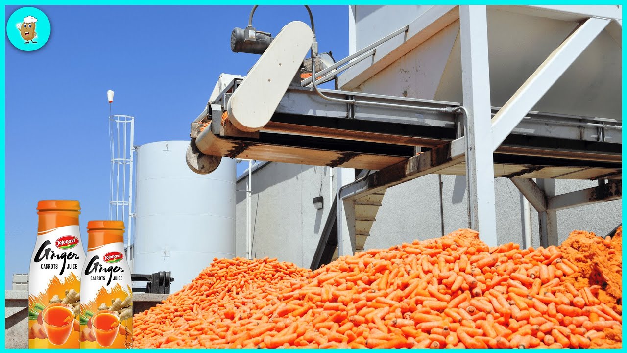 Unbelievable ! How To Produce 67 Billion Liters Of Carrot Juice - Carrot Processing Plant