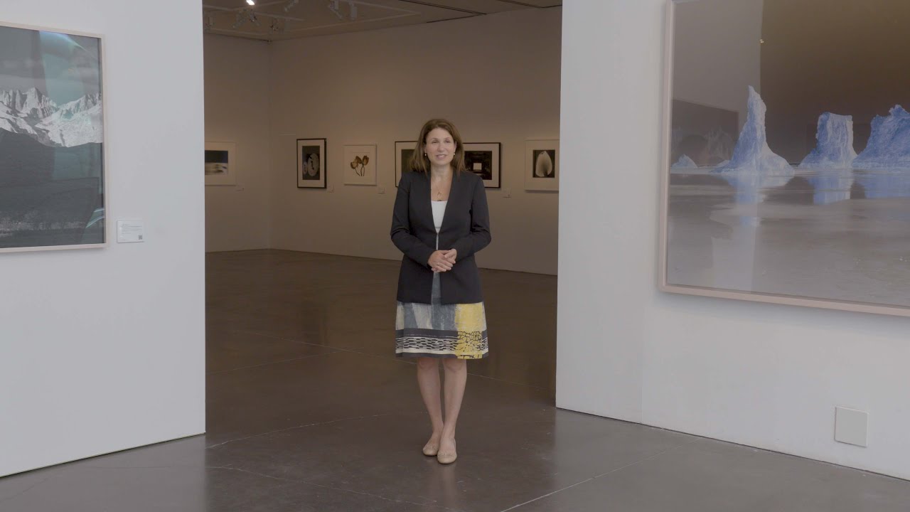 Gallery Tour | Photographs, New York