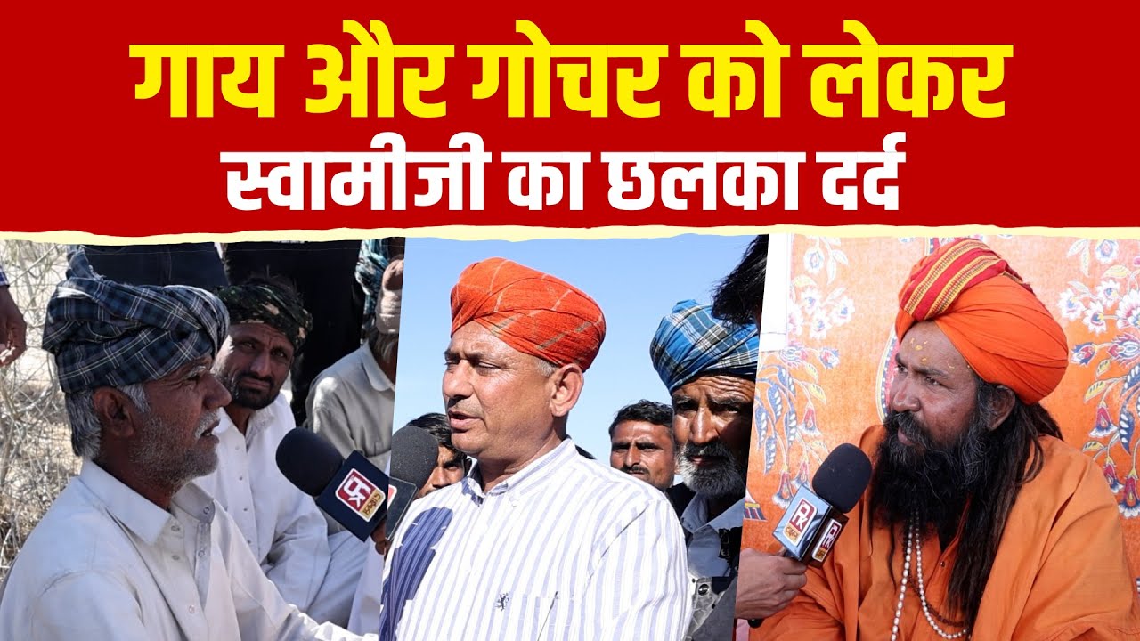 भाजपा वैसे तो गाय की बातें खूब करती है लेकिन अब गोचर मामले में चुप क्यों है?
