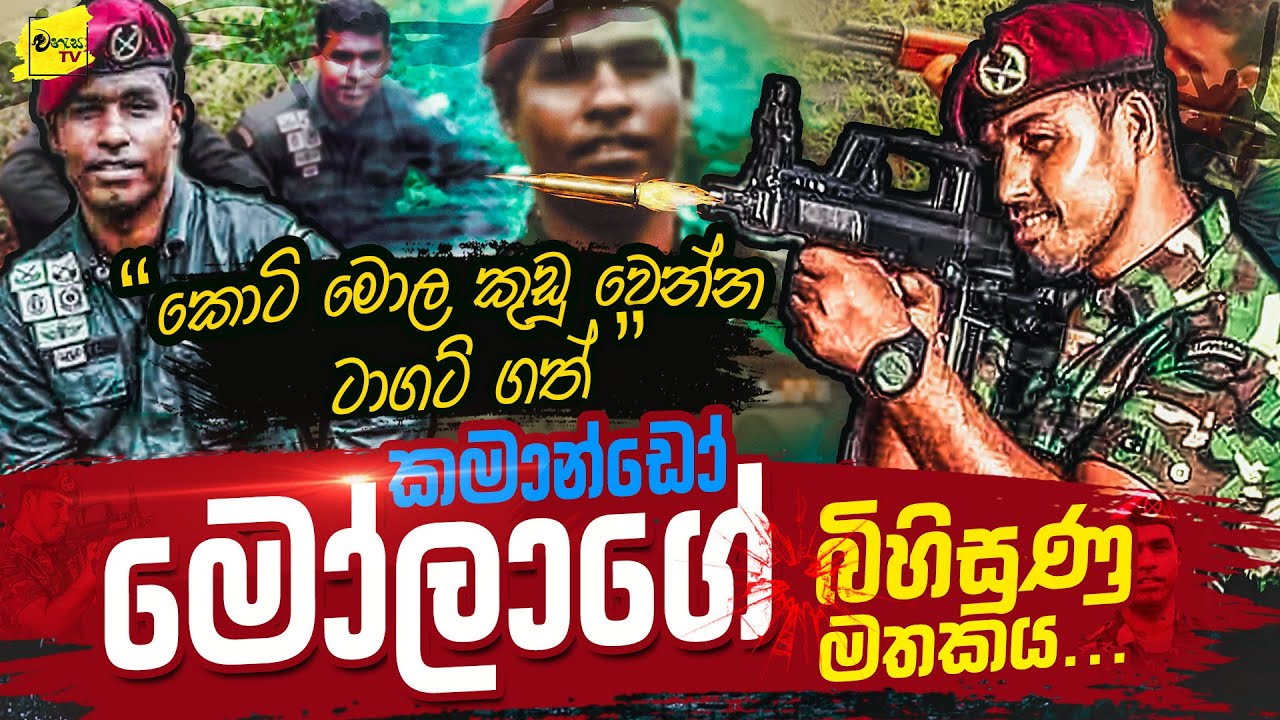 කොටියාගේ මොළ කුඩු පට්ටම් කල කමාන්ඩෝ මෝලාගේ බිහිසුණු මතකය | WANESA TV