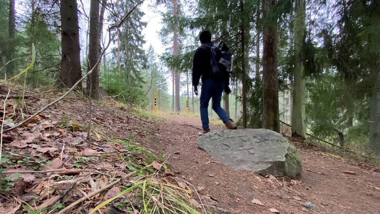 Hiking P&otilde;hja-K&otilde;rvemaa Nature Reserve in Estonia