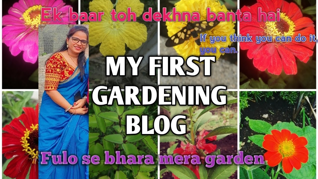 My First Gardening Blog/mera Pehla gardening blog/phoolo se lada hua mera Garden ek baar jarur dekhe