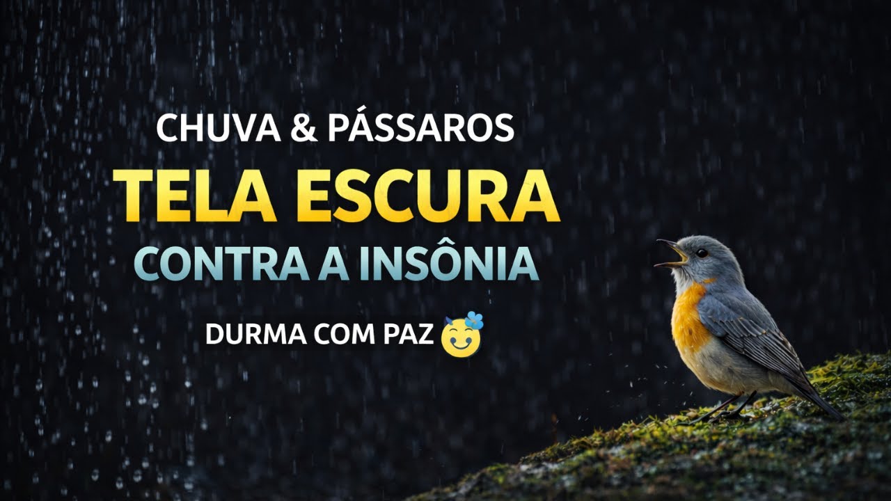 Chuva Suave, Água Escorrendo e Canto de Pássaros  Rain, Flowing Water and Bird Sounds 🌿