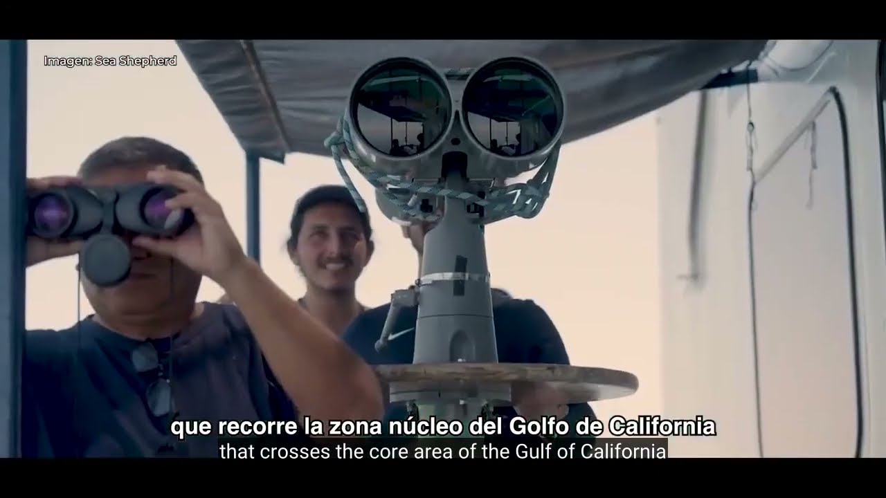 SEMARNAT-ALTO GOLFO DE CALIFORNIA Y DELTA DEL R&Iacute;O COLORADO 2024- ENG SUBTITLES