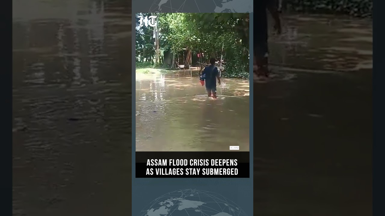 Assam Floods Swamp Lakhimpur Villages, Disrupting Lives and Livelihoods | #shorts