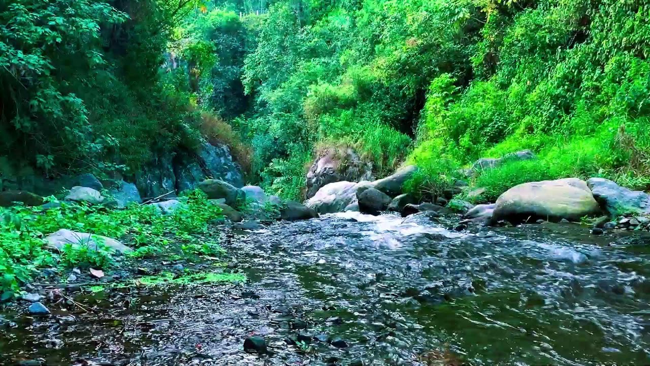 Calm Lake for Insomnia Relief, Deep Relaxation, Body Restoration