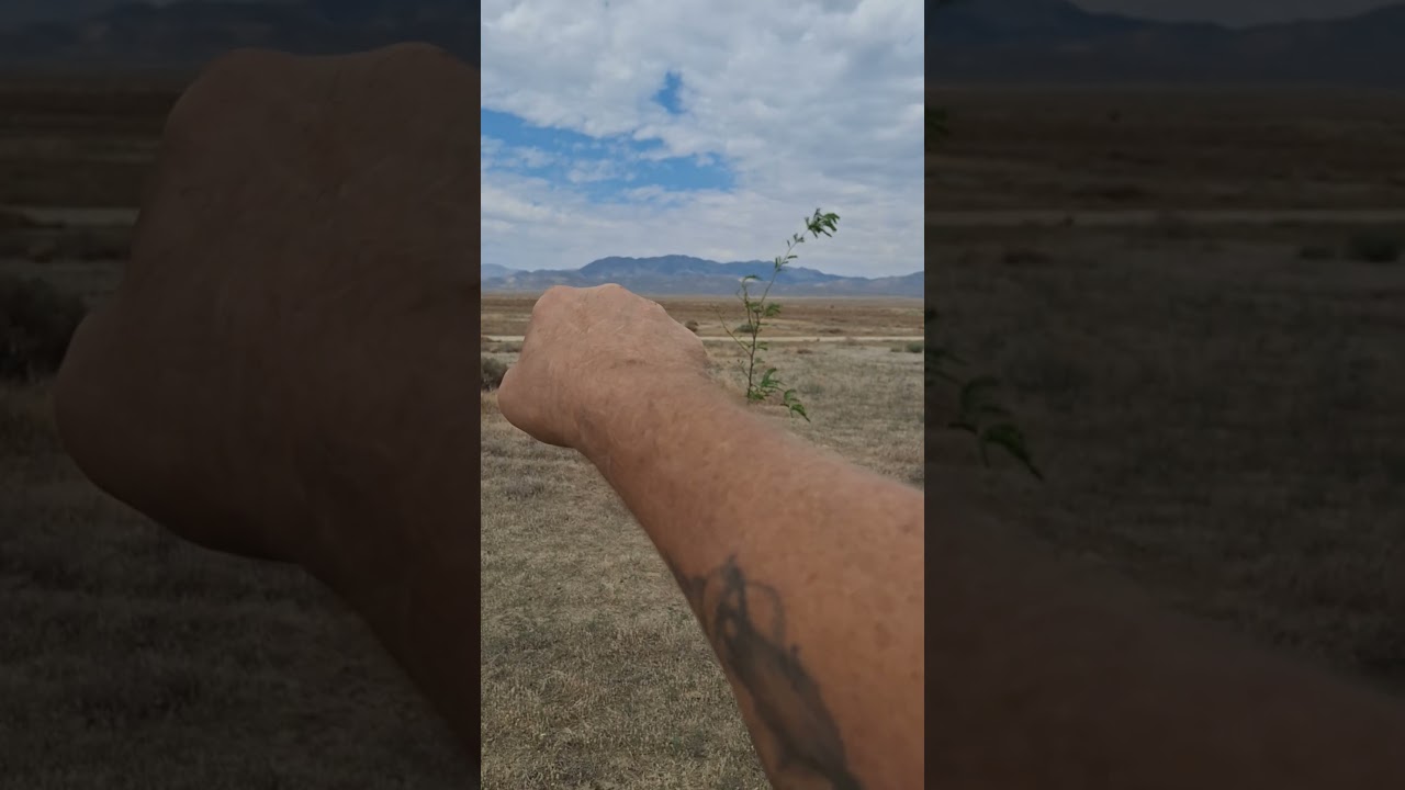 Trees and BBQ - horseshoe area #desert #nevada #offgridpower #farming