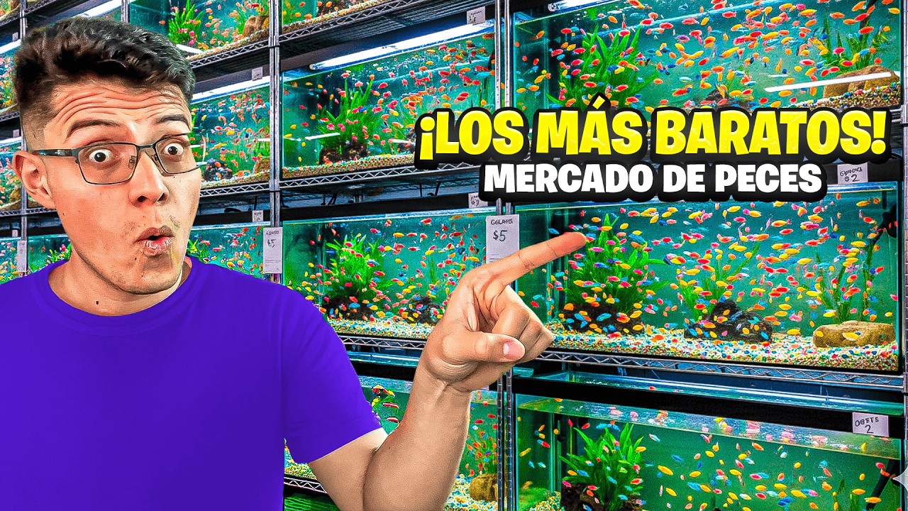 Los PECES MÁS BARATOS del MERCADO de peces Mixhuca 