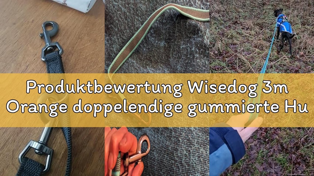 Produktbewertung Wisedog 3m Orange doppelendige gummierte Hundeleine Leichtgewichtige Hands Free Lei