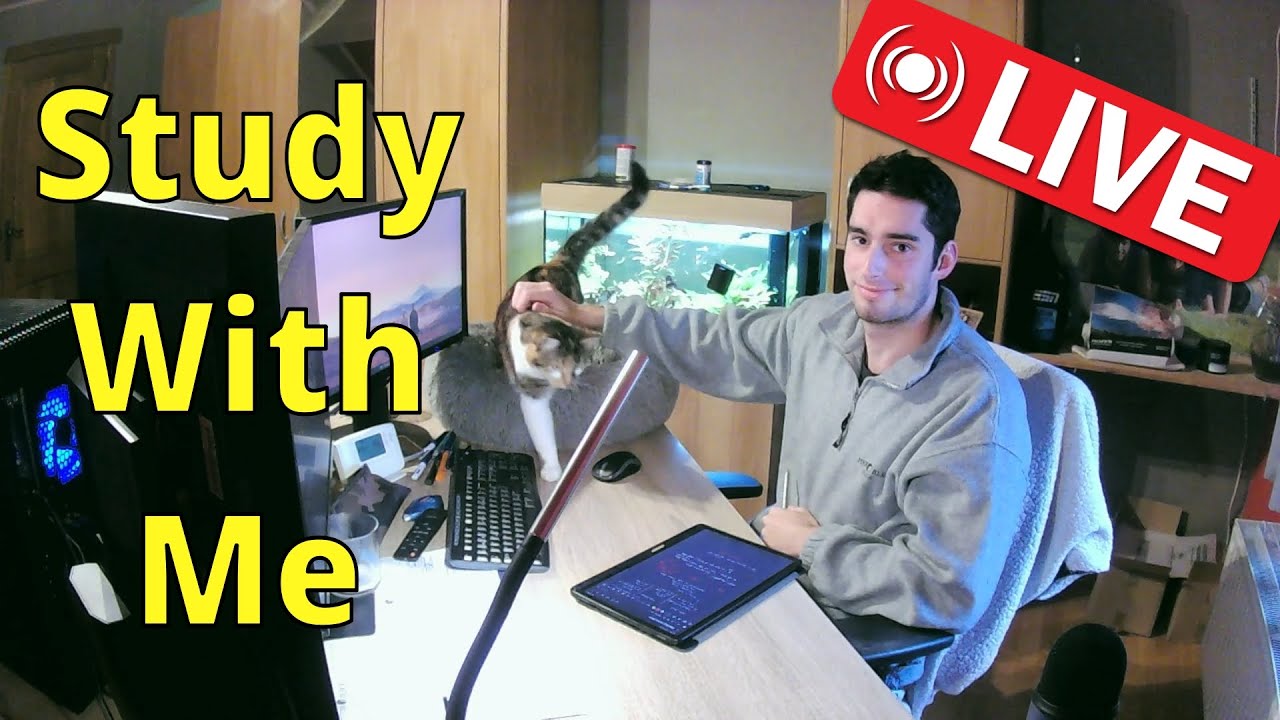 Study with me | 7+ Hours | 60-10 Pomodoro