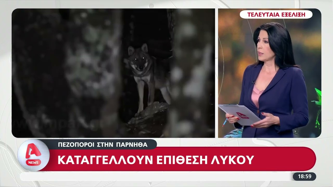 Επίθεση λύκων στα Βασιλικά Κτήματα