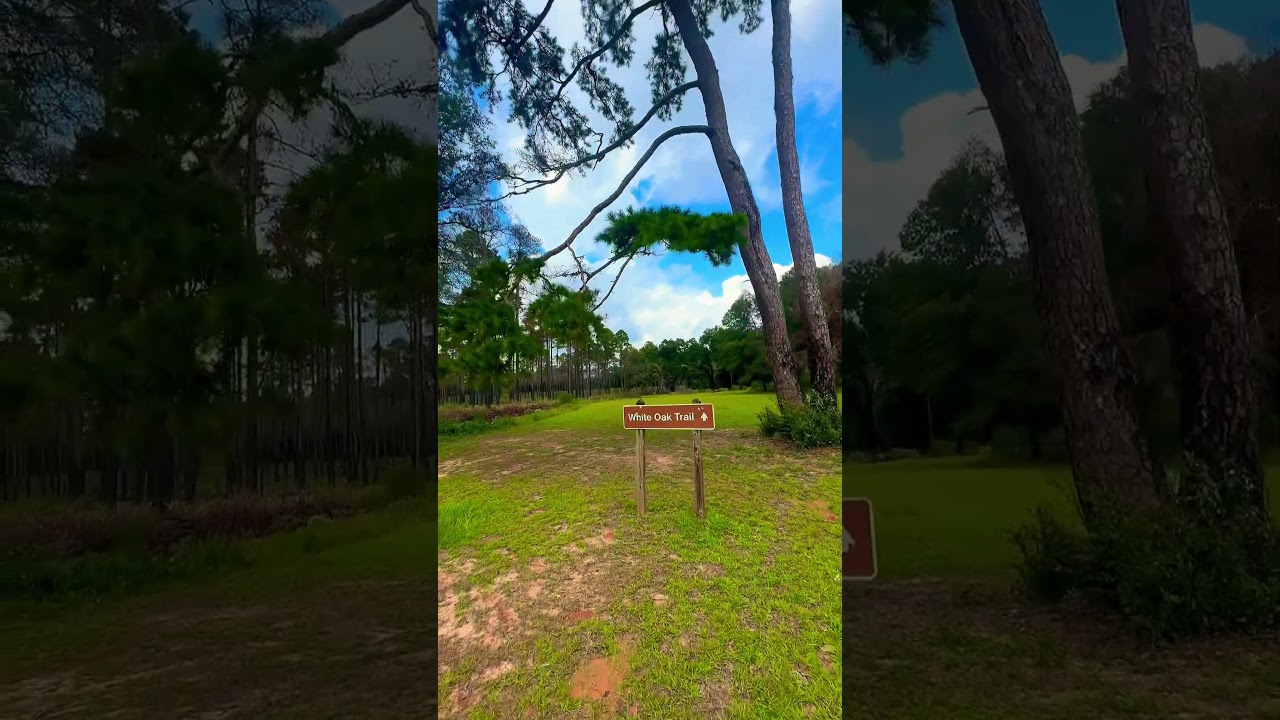 Kolomoki Mounds: Ancient Native American History. #NativeAmerican #HistoricSites #GeorgiaStateParks