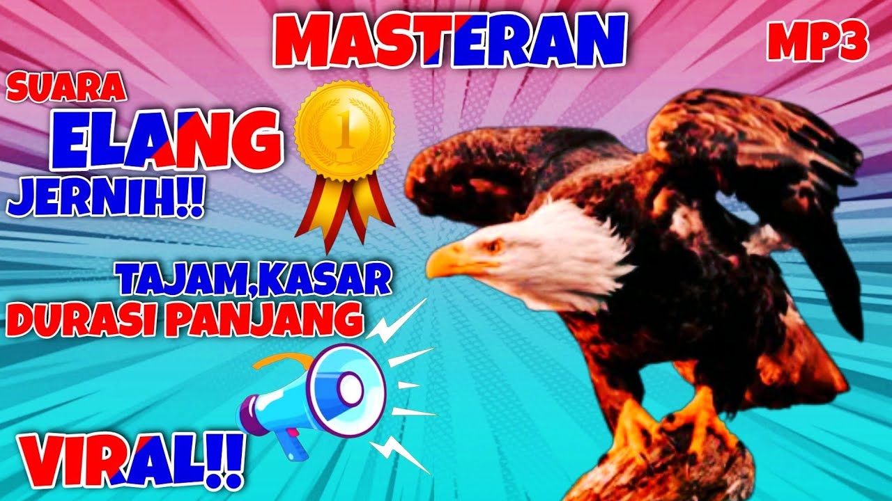🔴Masteran Suara Burung Elang Jernih Kencang!! | Durasi Panjang 3 jam jeda 3 detik MP3 #suaraelangMP3