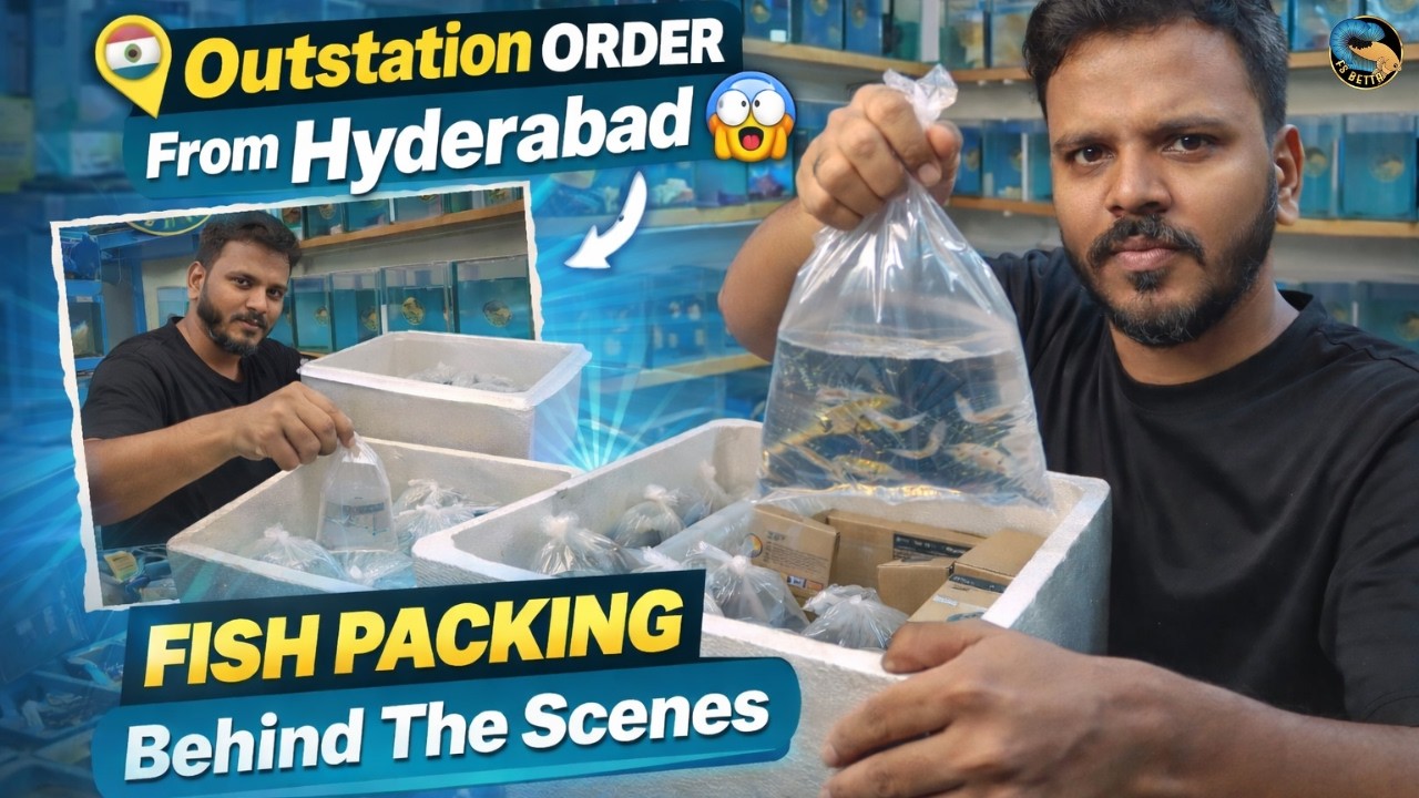 Outstation Order From Hyderabad | Fish Packing Behind The Scenes - Ramzan with Faizan EP  11