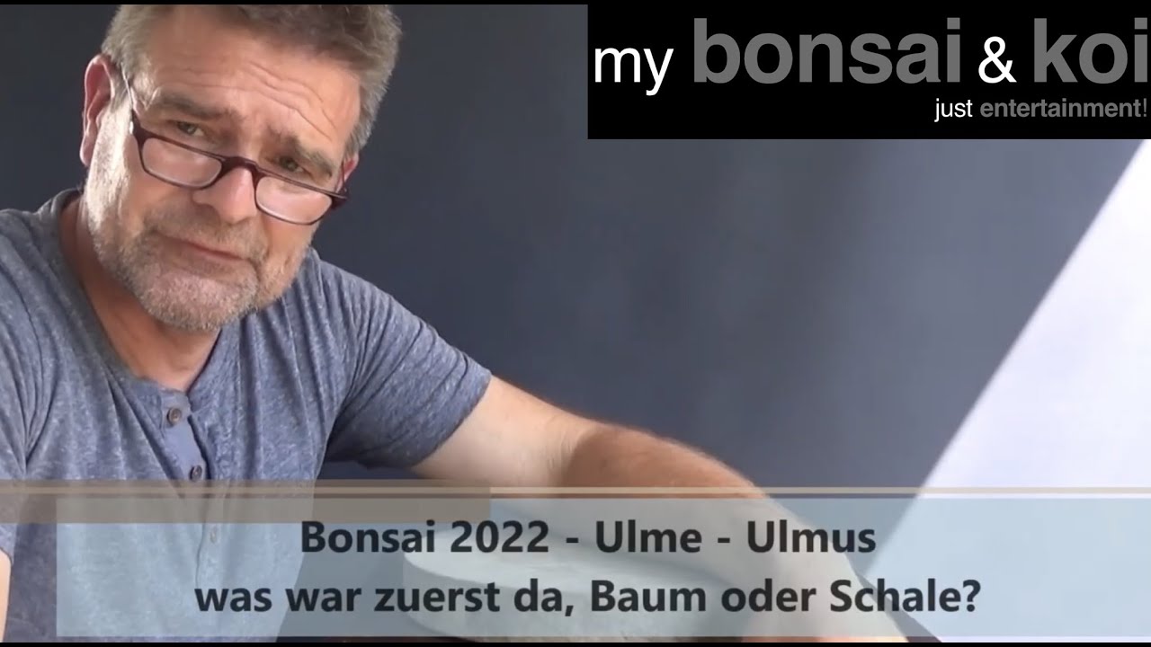 Bonsai 2022-20 - Ulme - Ulmus - was war zuerst da, Baum oder Schale