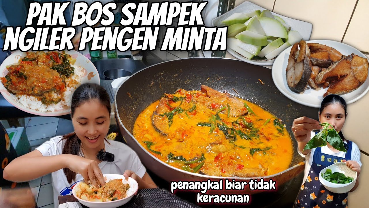PAK BOS SAMPAI IKUTAN NGILER⁉️ TONGKOL DAUN UBI MASAK SANTAN PEDAS