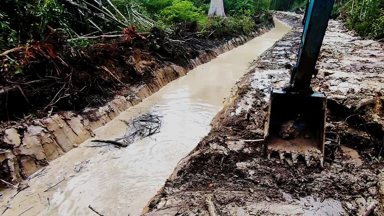 ternyata bikin parit di tengah hutan ini bukan ikan saja di temui ular aneh pun ada