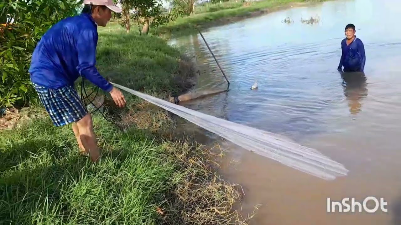 Đi chài cá sông trúng mánh anh em ơi