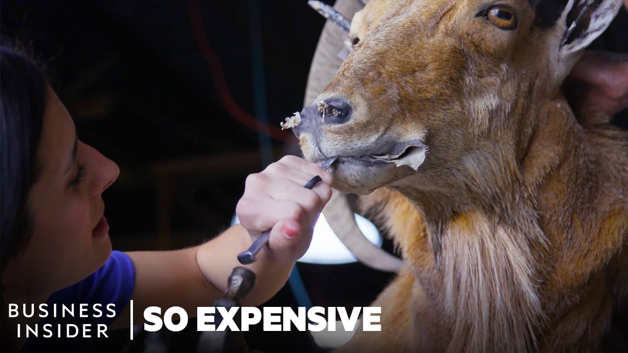 Inside Texas&rsquo;s $2 Billion Exotic Animal Hunting Industry | So Expensive