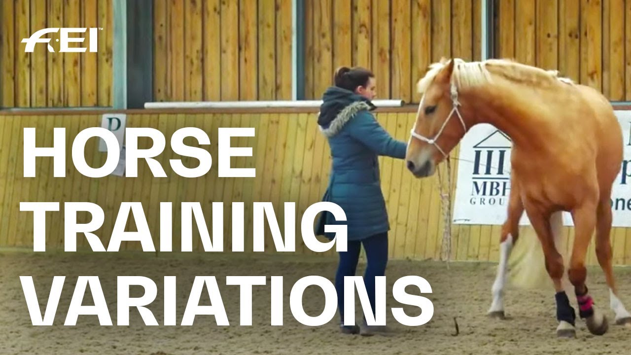 Keep your horse happy with training variations ft. Olivia Towers | Guest Vlog