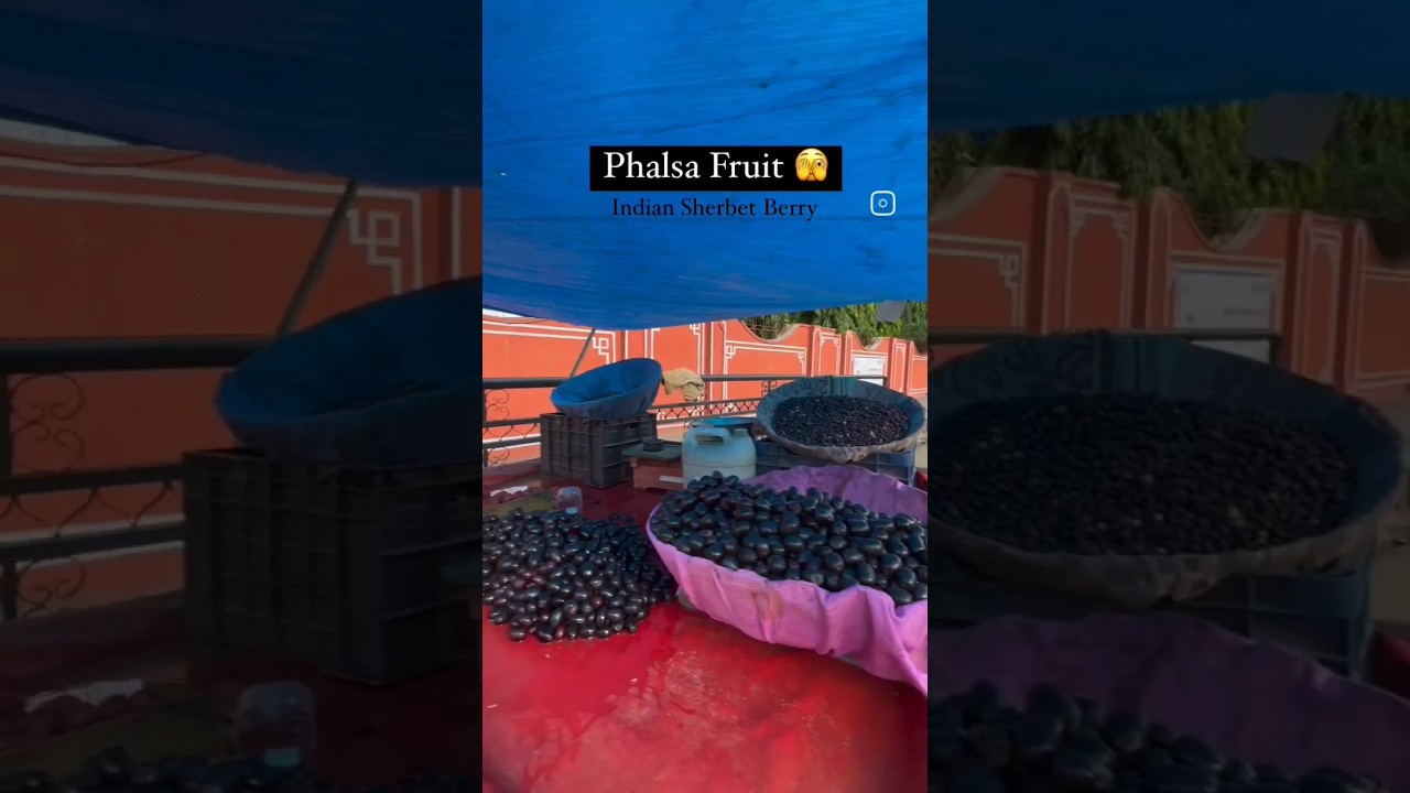 phalsa Fruit. -Controls Blood Sugar Levels-Remedies Hypertension-Alleviates Skin Infections