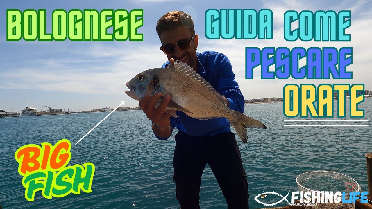 GUIDA PESCA ALL’ORATA - BOLOGNESE CON PASTURATORE e BIGATTINO BIG ORATA e Montatura Completa! 🐟🎣