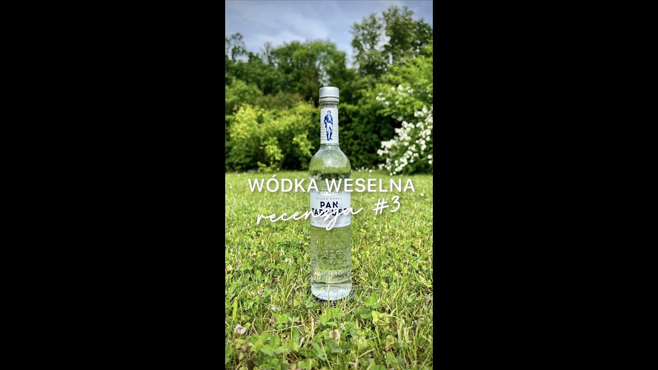 Pan Tadeusz - W&Oacute;DKA NA WESELE 🔍 Recenzja 3 | 👍🏻czy👎🏻 #m&oacute;jbar #w&oacute;dkaweselna #w&oacute;dkanawesele