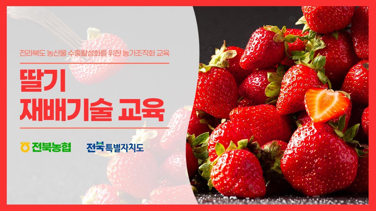 딸기 재배기술 교육 영상