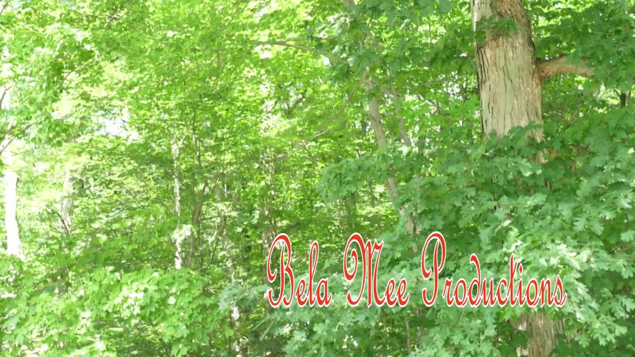 Sounds Of A Wilderness Pilgrimage