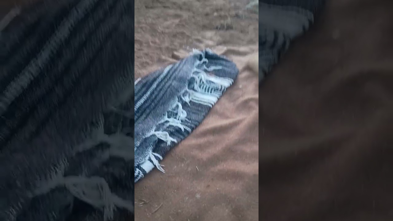 Sleep spot out in Taos New Mexico 
