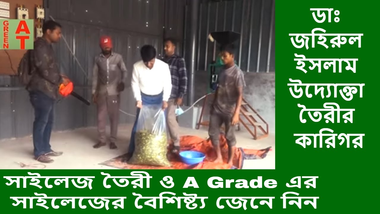 A Grade সাইলেজের বৈশিষ্ট্যগুলো শিখিয়ে দিচ্ছেন ডাঃ জহিরুল ইসলাম | How to make silage