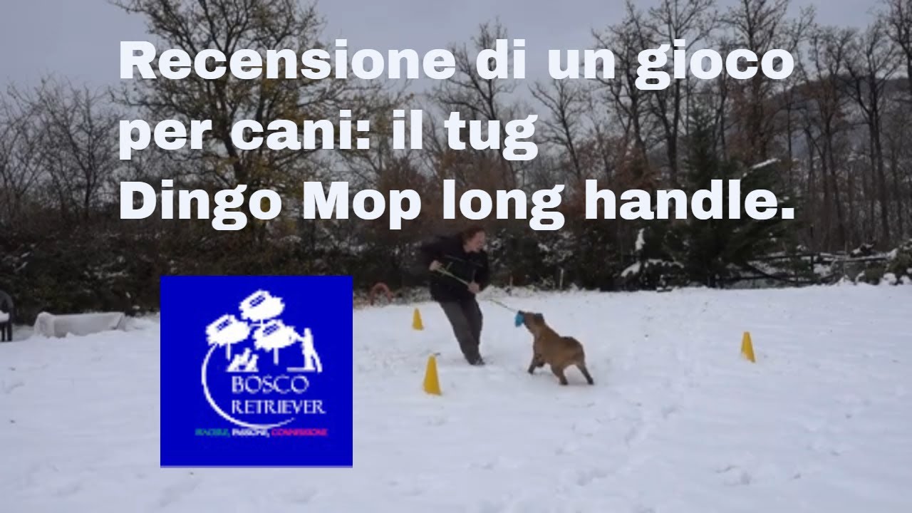 Recensione di un gioco per cani: il Tug Dingo Mop Long Handle