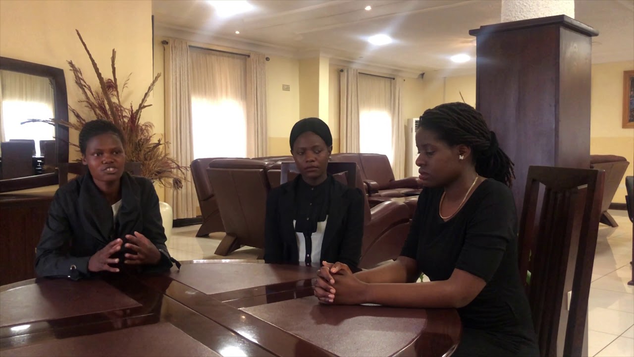 Commercial Law Presentation (2) By Great Zimbabwe University: Herbert Chitepo Law School students