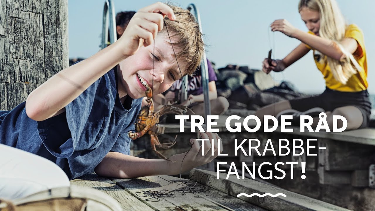 Tre gode råd til krabbefangst!