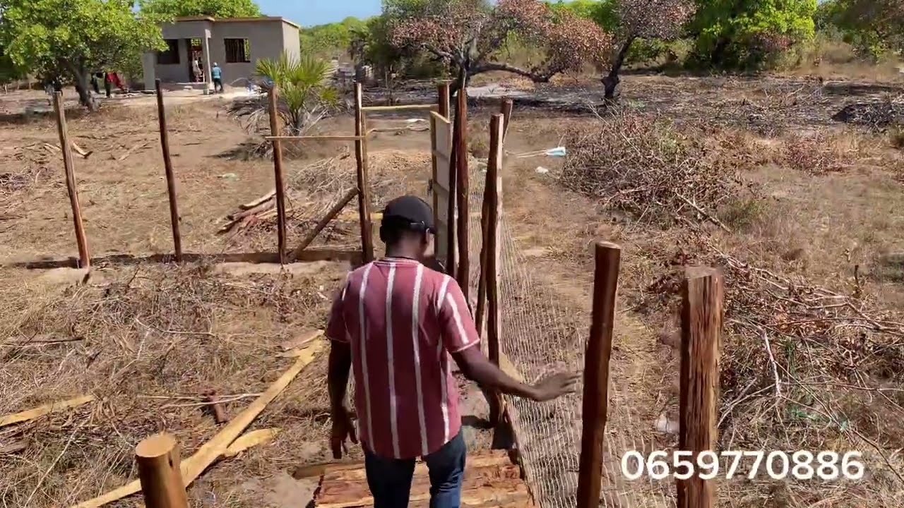 Biashara ya Mbuzi 300 ujenzi wa Banda! 