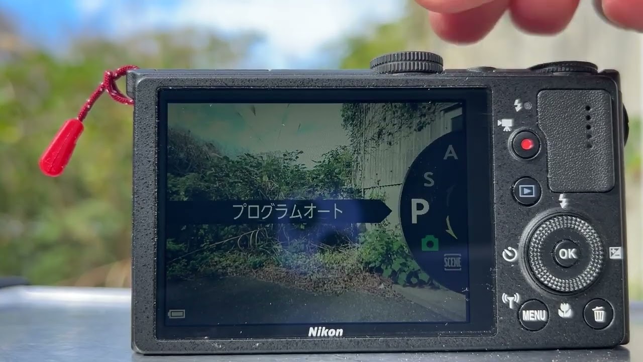 動画有 Nikon コンパクトデジタルカメラ COOLPIX P340 光学ズーム5倍 S9900 光学ズーム30倍 バリアングル液晶モニター ニコン クールピクス