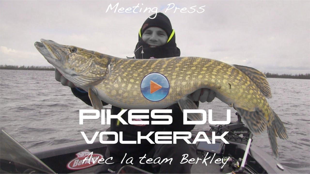 Pêche des carnassiers en Hollande Part3
