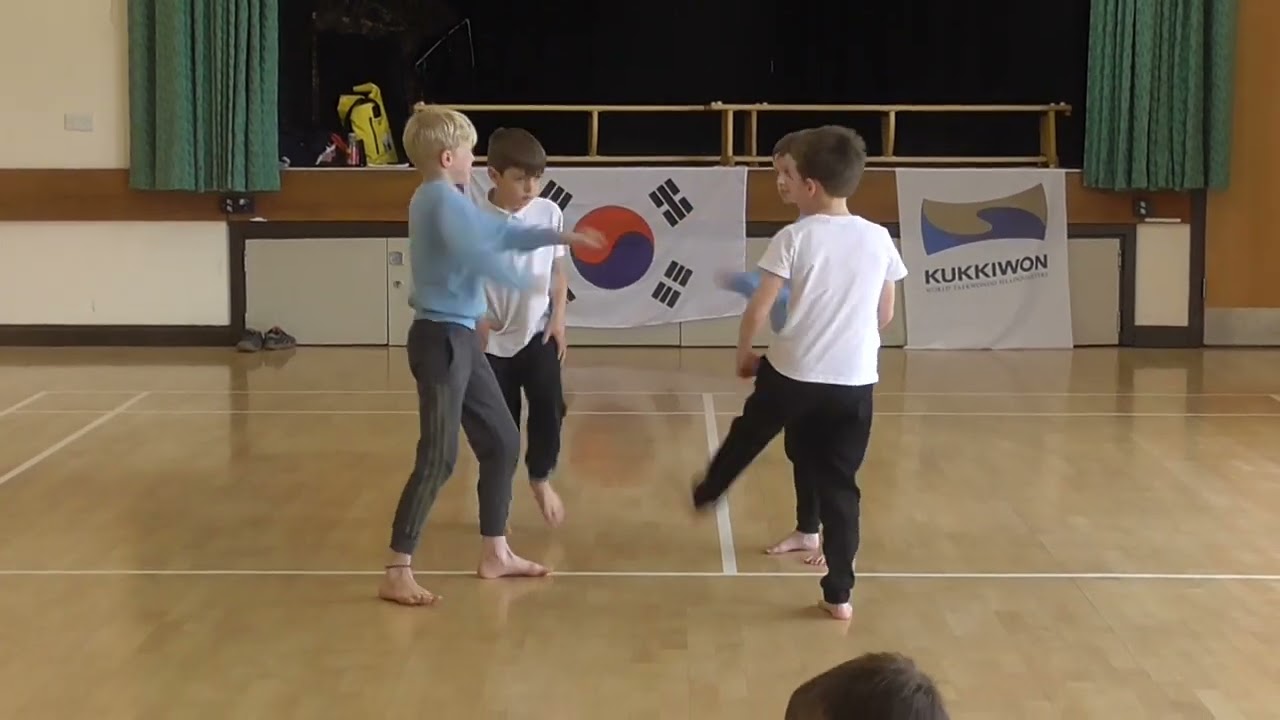 Wren Class - Taekwondo Performance (March 2023)