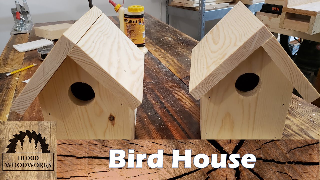 DIY : How to build Birdhouse