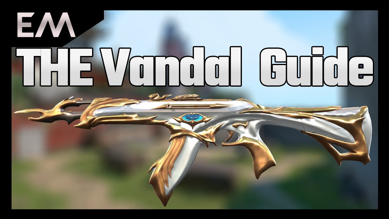 How to use the 1 tap machine | [Valorant Vandal guide]