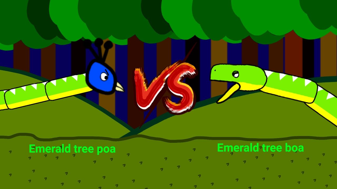 Emerald tree poa vs emerald tree boa | Hybrid animals combined with Peacock
