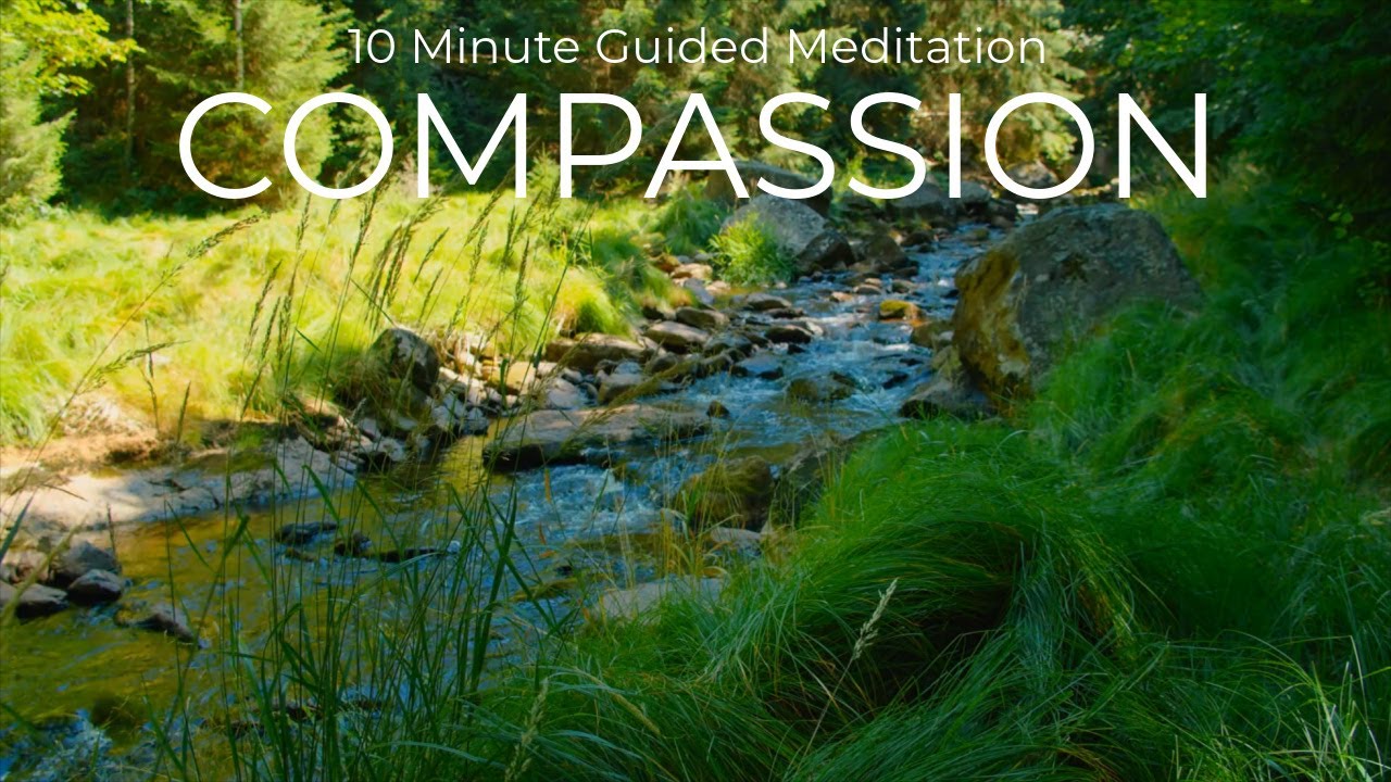 10 Minute Guided Compassion Meditation with Nature Sounds