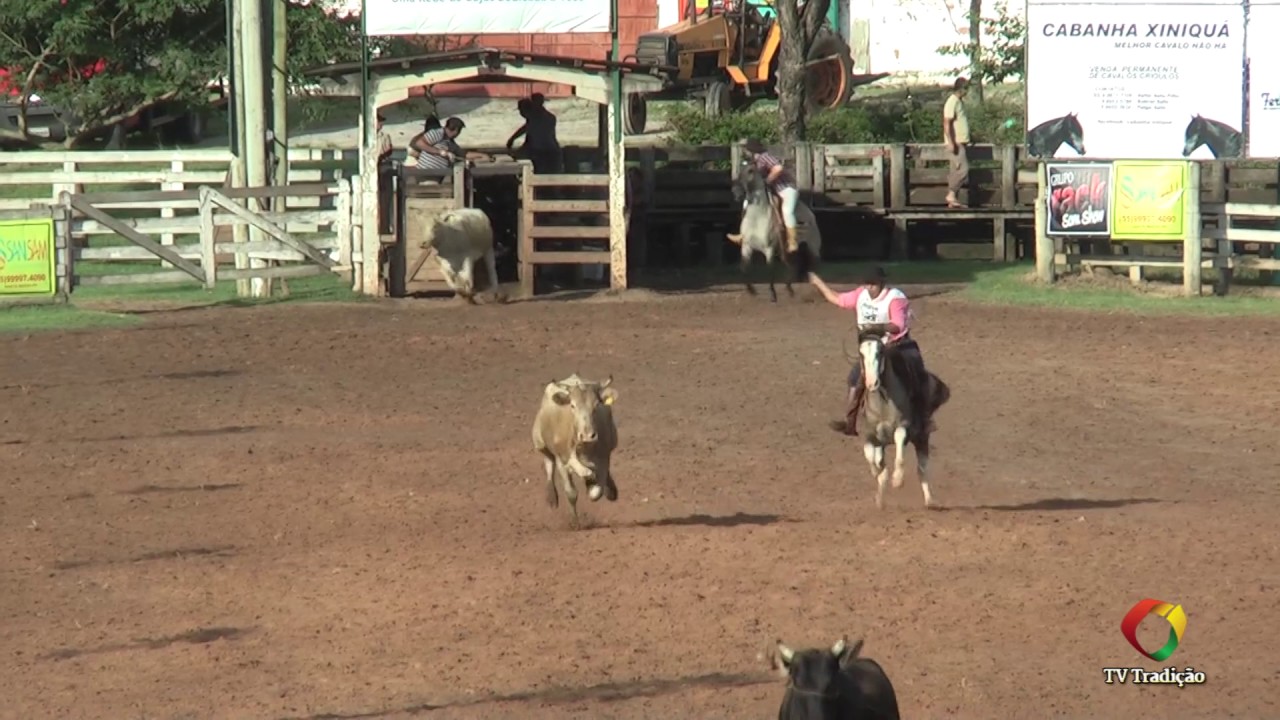 23º Rodeio Internacional do Conesul - Laço Criador - Quarta-feira