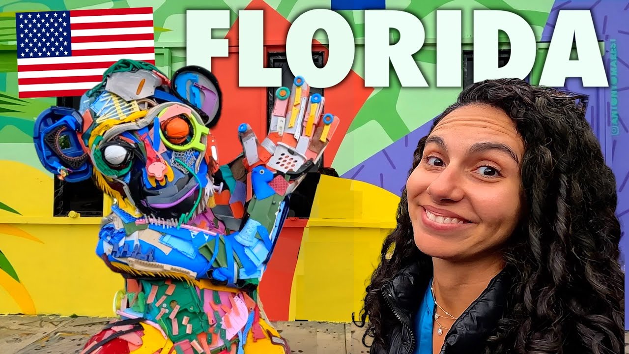 THIS IS FLORIDA 🇺🇸 EVERGLADES NATIONAL PARK & WYNWOOD (MIAMI)