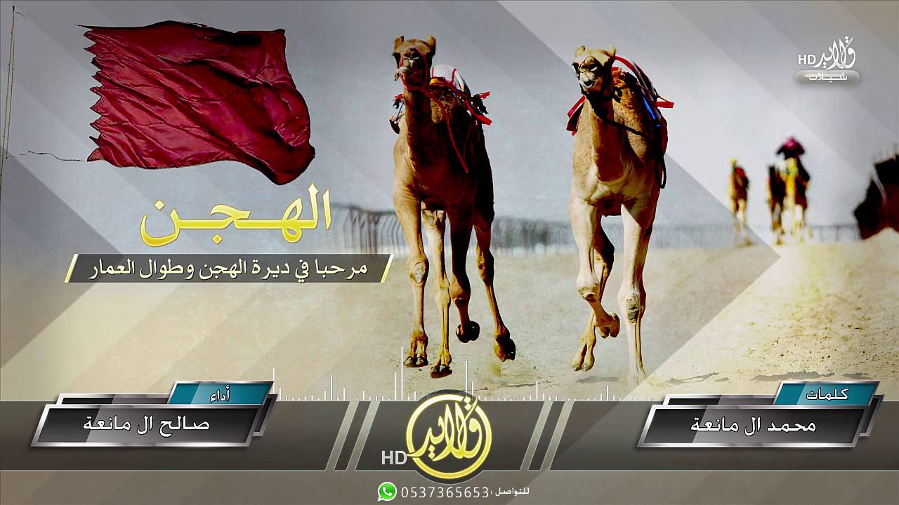 شيلة : الهجن || كلمات : محمد ال مانعة || أداء : صالح ال مانعة + mp3