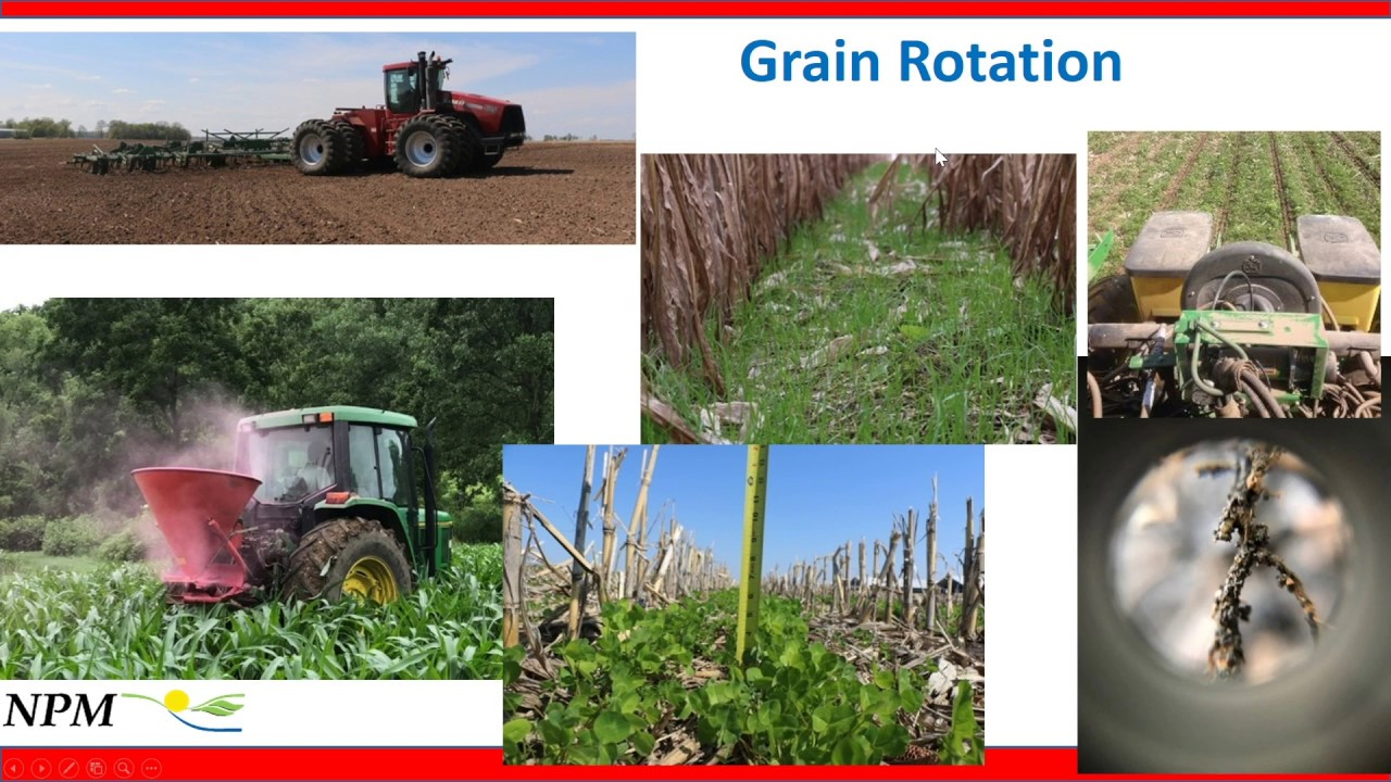 Interseeding Cover Crops