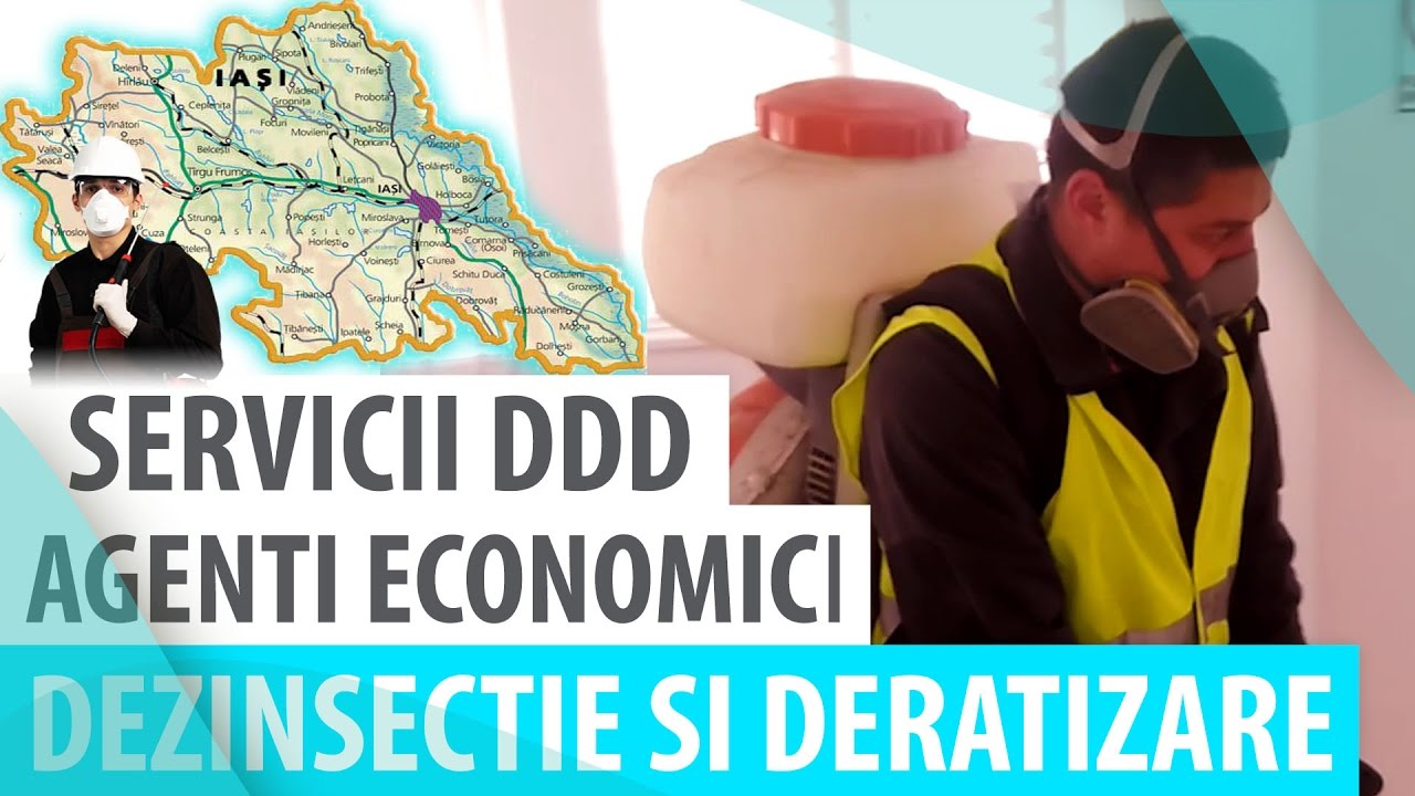 DDD Company Iasi Servicii DDD Deratizare si Dezinsectie in fabrici