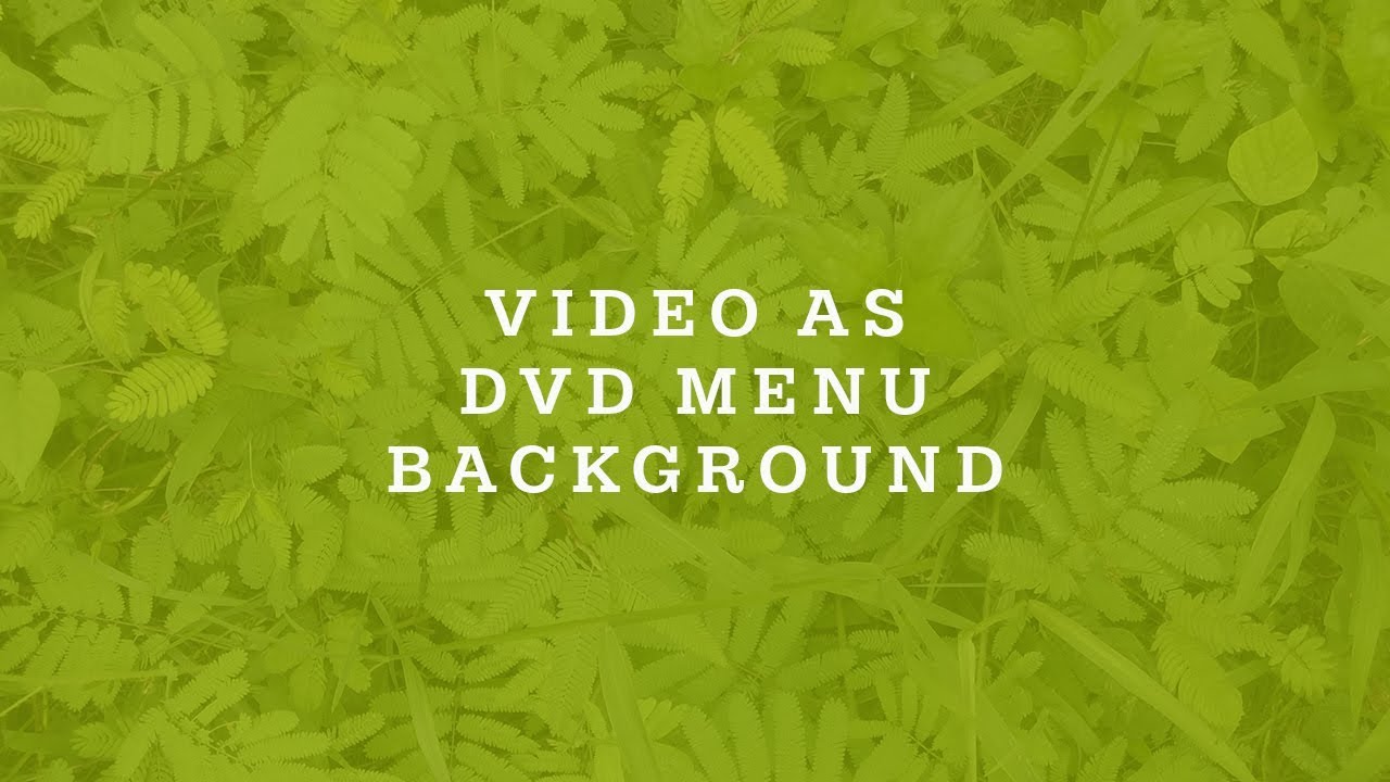 Как сделать видео в качестве фона меню DVD в DVDStyler