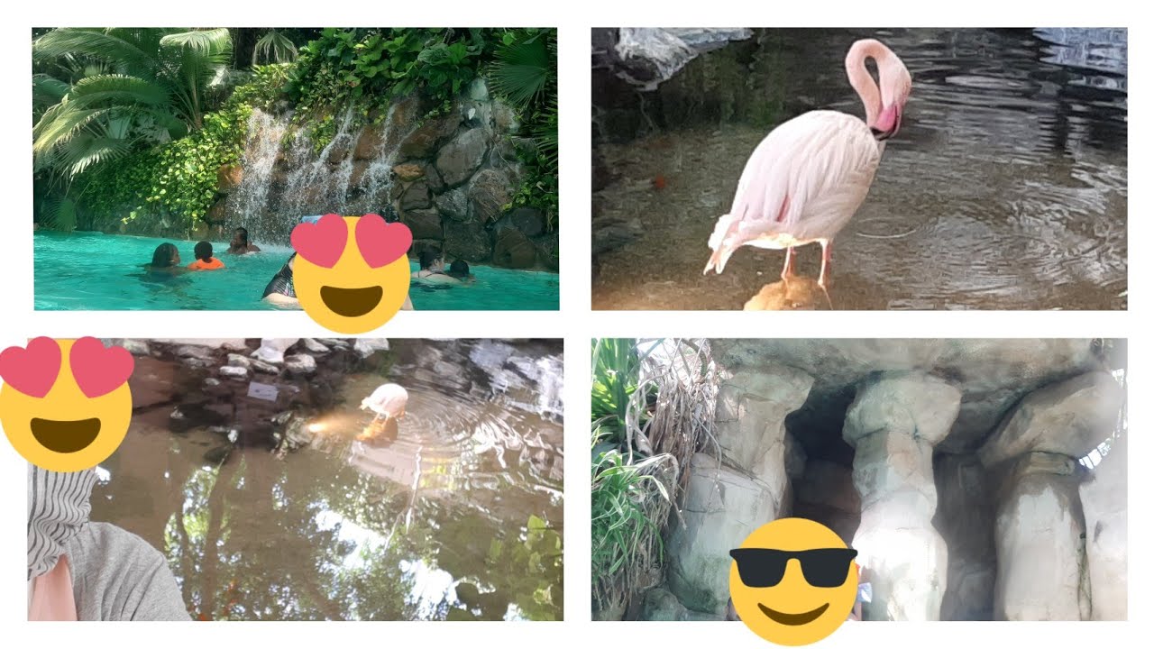 VLOG CENTRE PARC